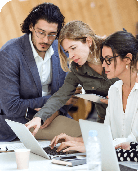 spinelegal about image